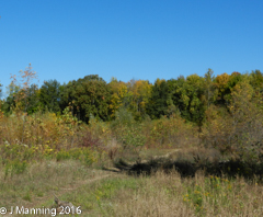 Bend Area Open Space